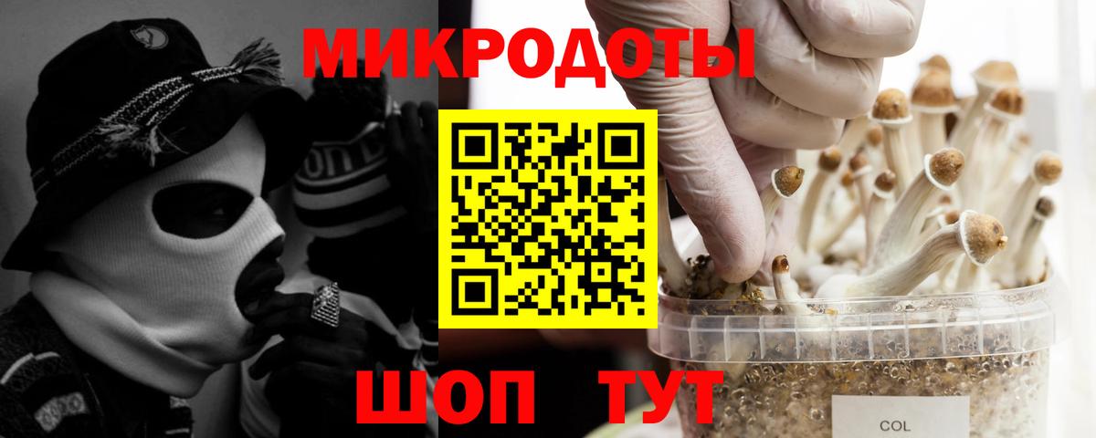 Псилоцибиновые грибы MAGIC MUSHROOMS  Галлюциногенные грибы прущие грибы  Вход с VPN  Подольск 